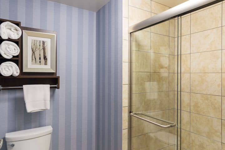 Bathroom shower